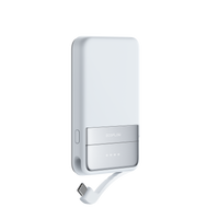 EcoFlow RAPID, 5000mAh, (niebieski)